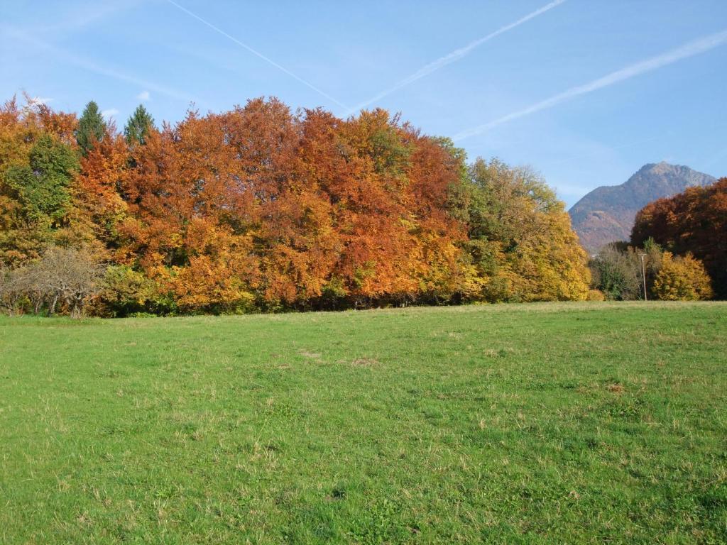 Le Domaine Du Grand Cellier Chambres D'Hotes En Savoie Tournon-sur-Rhône Exteriör bild